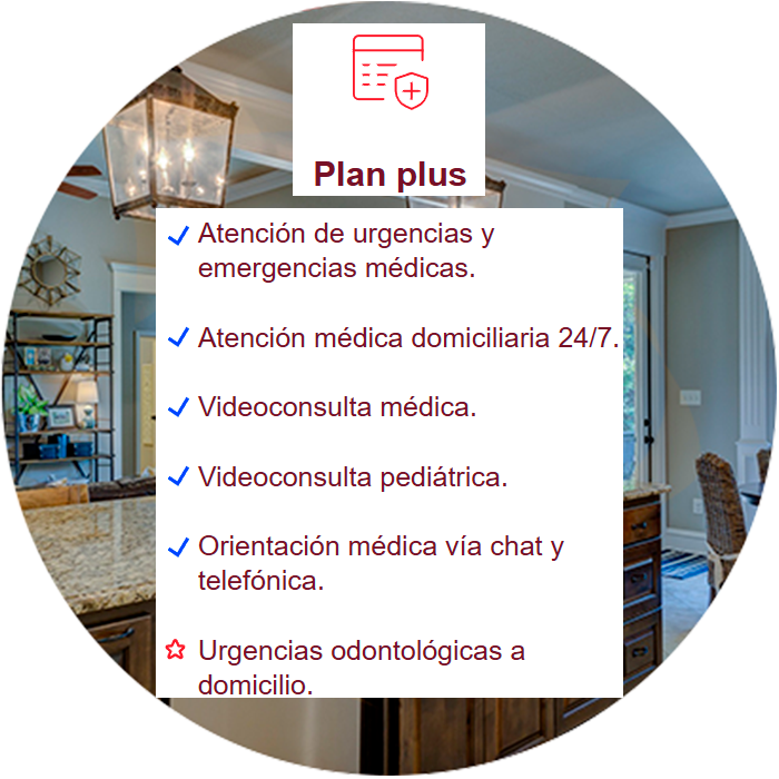 plan plus